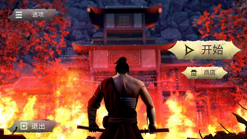 忍者武士隆