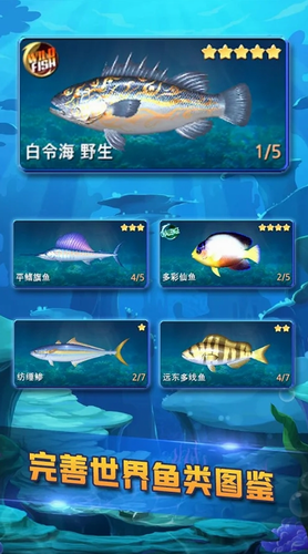 钓鱼大亨无限金币版