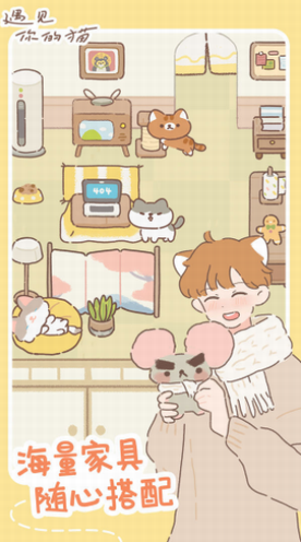遇见你的猫