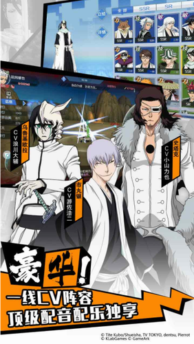 境界魂之觉醒无限水晶版