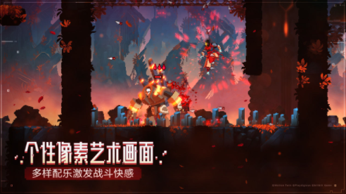 死亡细胞