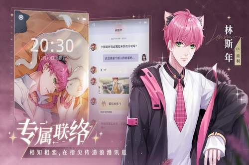 猫之宿约者内购版