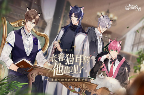 猫之宿约者