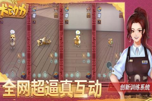 犬动力无限金币钻石版