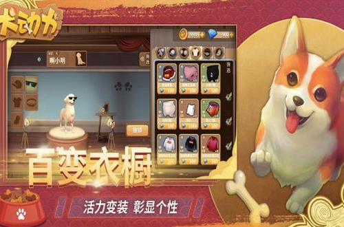 犬动力最新版