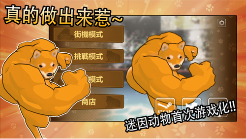 动物之斗