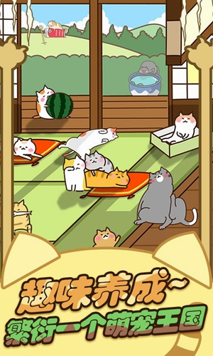 猫咪田园