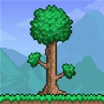 泰拉瑞亚灾厄版 v1.4.3.2.3 无限物品版