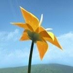 花flower手游安卓版 v7.5.8