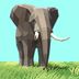 动物园之星中文版 v0.10